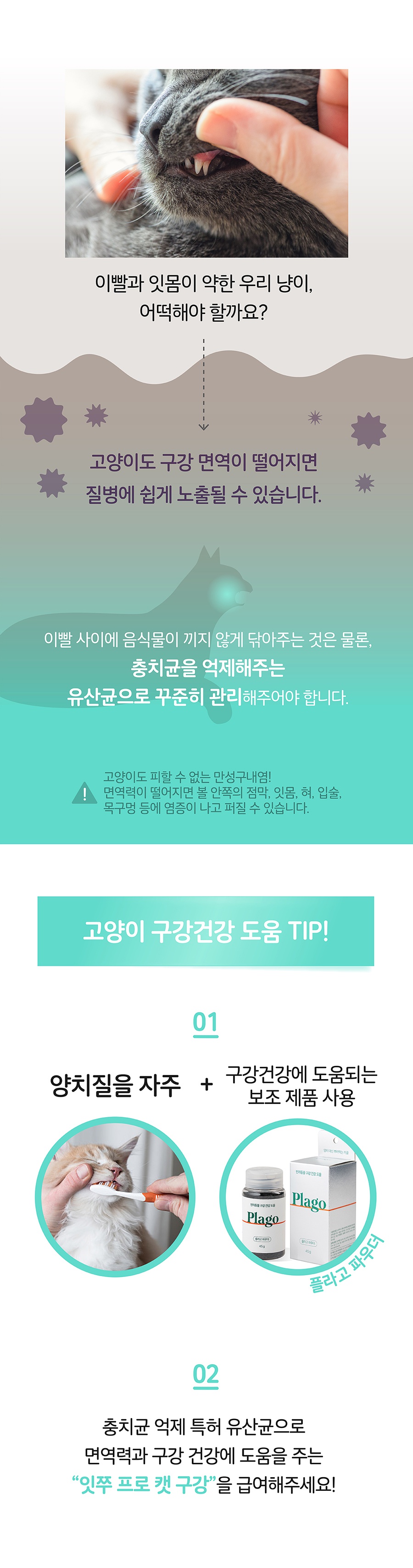 it 잇쭈 프로 캣 구강 (8개입)-상품이미지-2