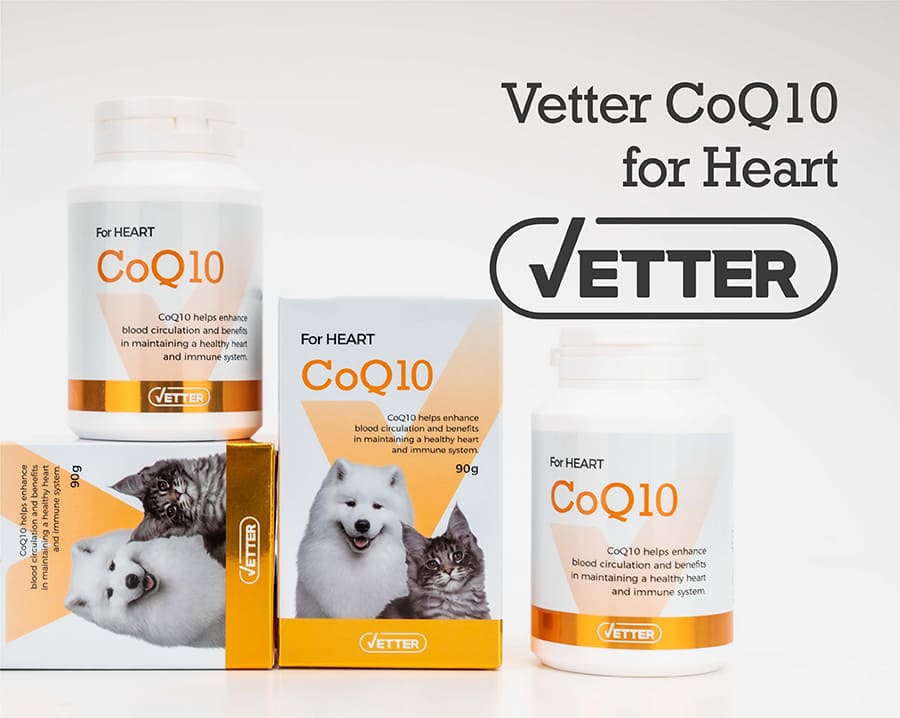 Vetter 댕냥이 영양 파우더 11종 (관절/피부/안정/눈/장/소화)-상품이미지-17