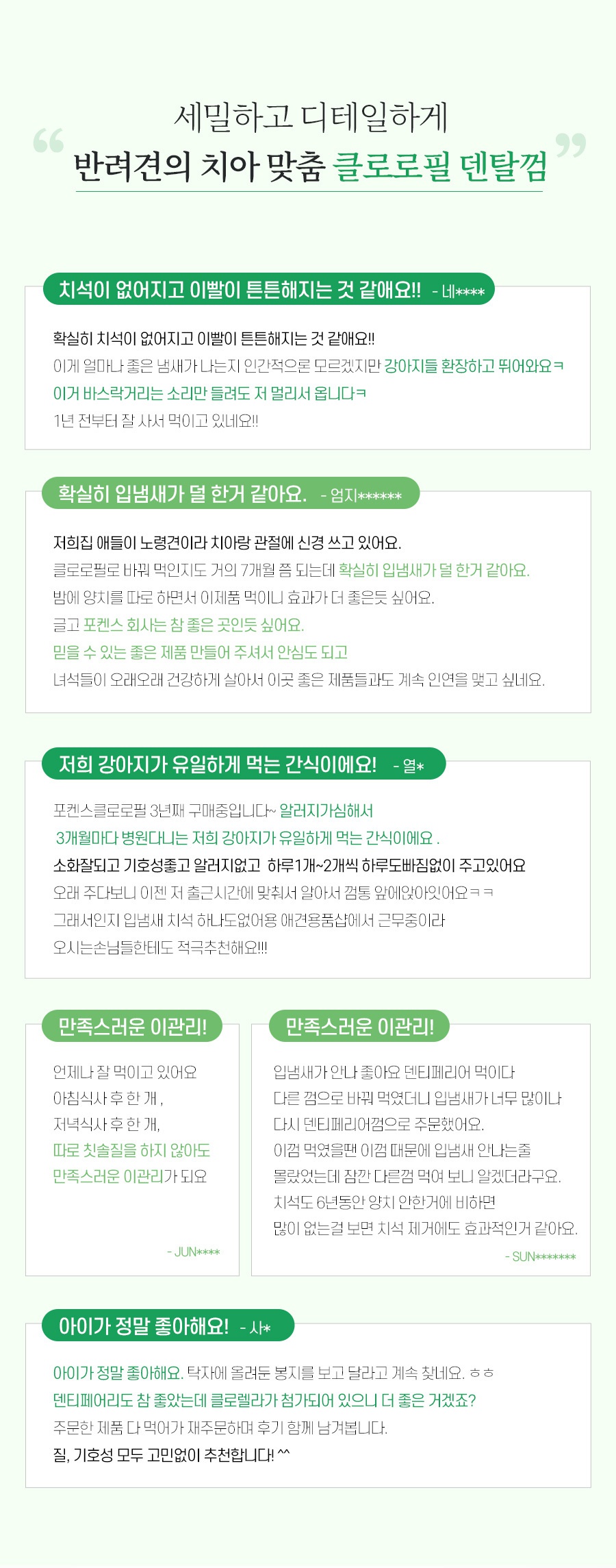 덴티페어리 클로로필 M 대용량 (34P)-상품이미지-16