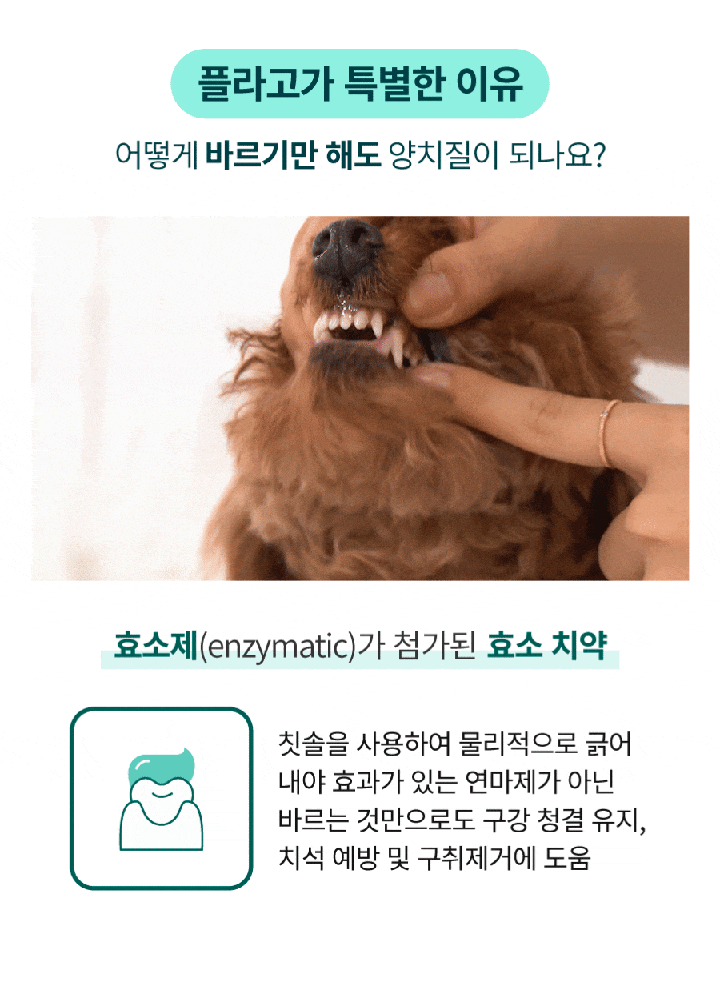 플라고 치약 플러스 (80g)-상품이미지-7