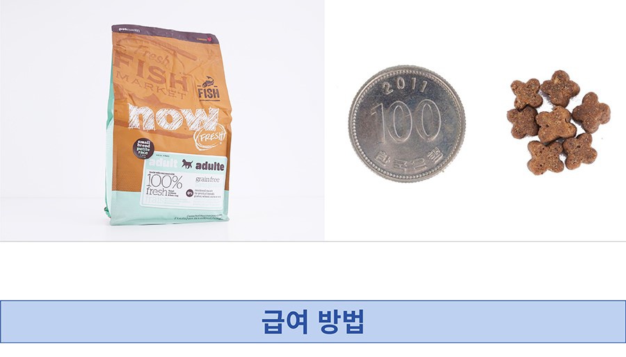 NOW 그레인프리 스몰브리드 피쉬 어덜트 (2.7kg/5.4kg)-상품이미지-3