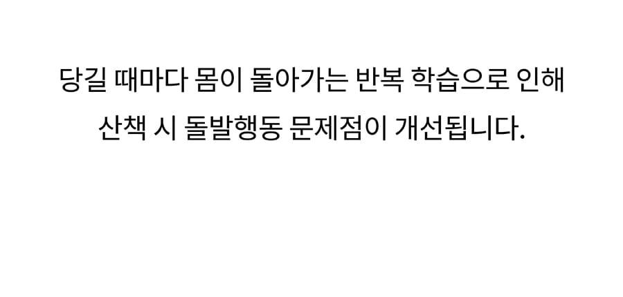 닥터설 앞섬방지 하네스 세트-상품이미지-7