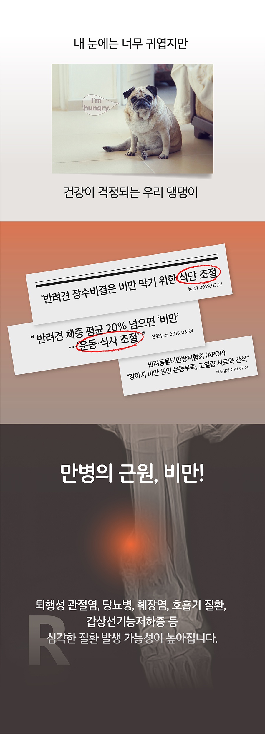it 잇쭈 프로 도그 체중관리 특대용량 (8개입*8개)-상품이미지-2